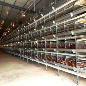 Feeding Equipment Precision Fabricated Housings Food Processing Lines Stainless Steel Enclosures